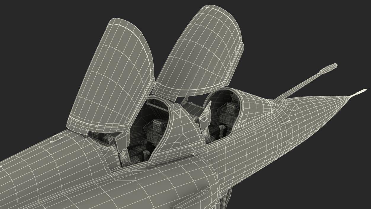 Dassault Mirage 2000N Tactical Bomber with Armament Camouflage 3D