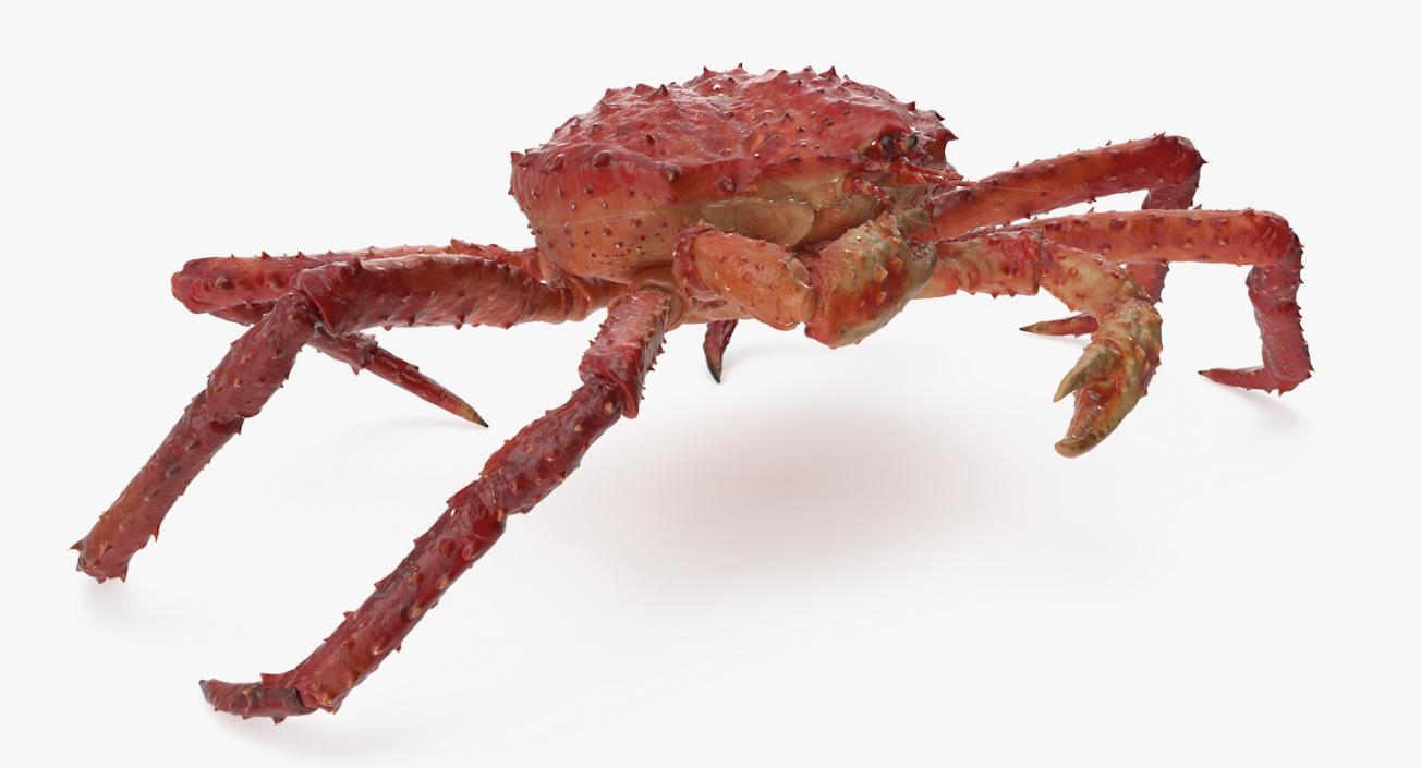 3D model Red King Crab Rigged