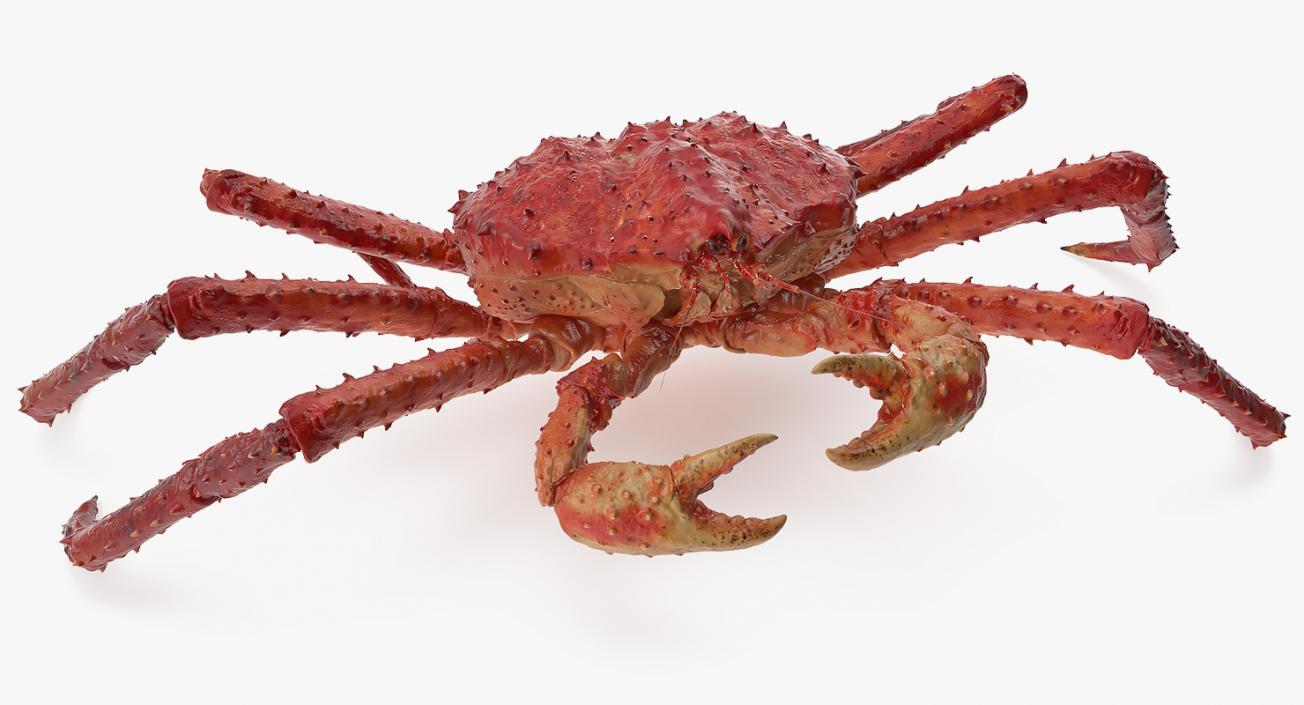 3D model Red King Crab Rigged