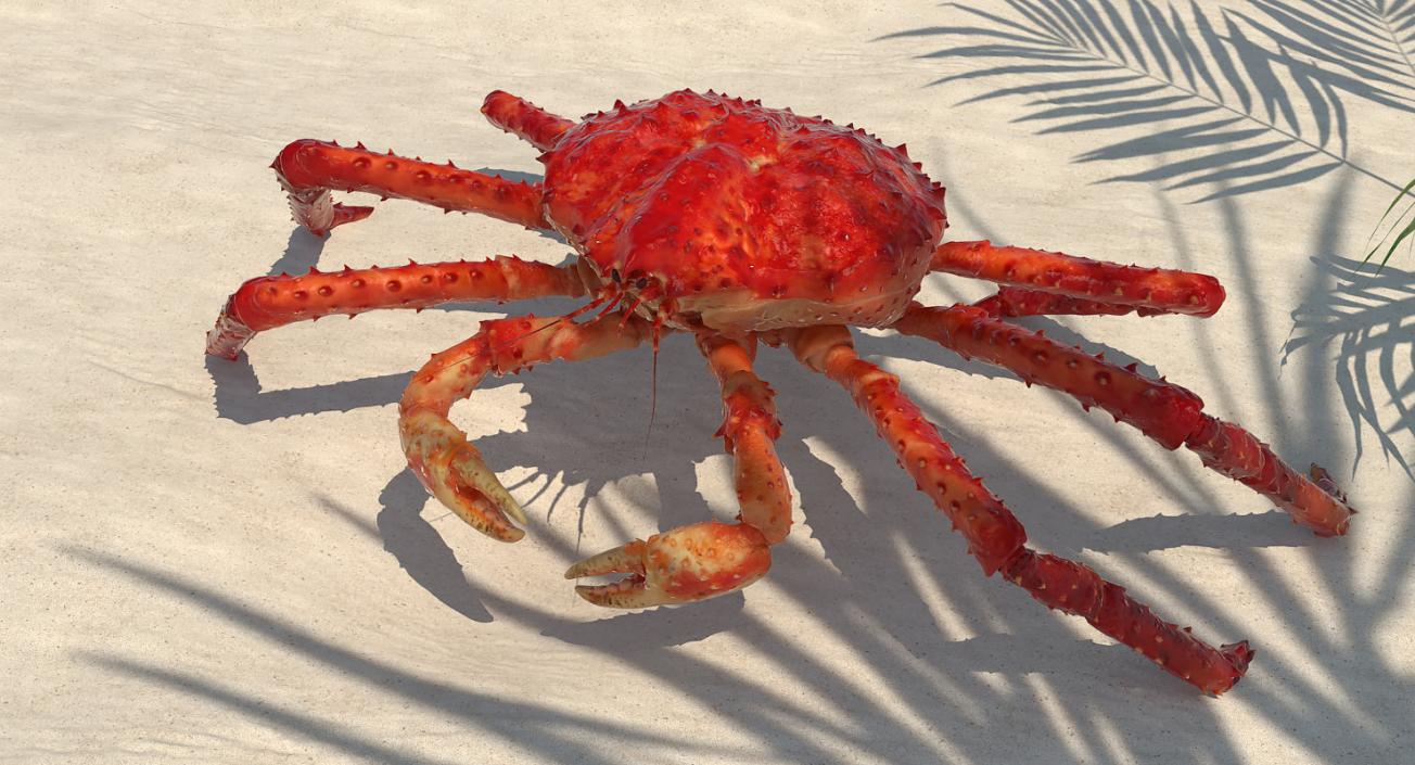 3D model Red King Crab Rigged