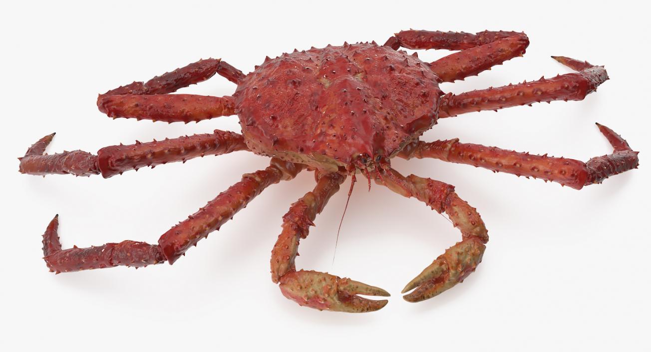 3D model Red King Crab Rigged