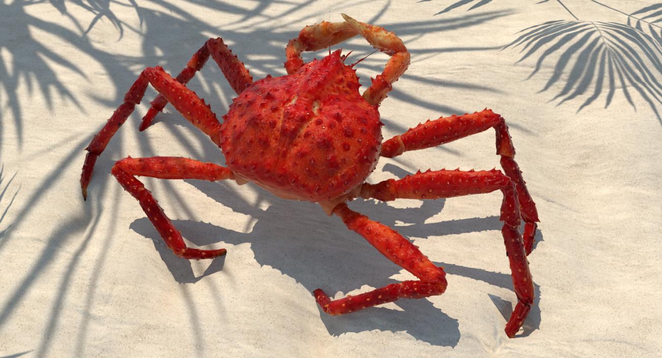 3D model Red King Crab Rigged