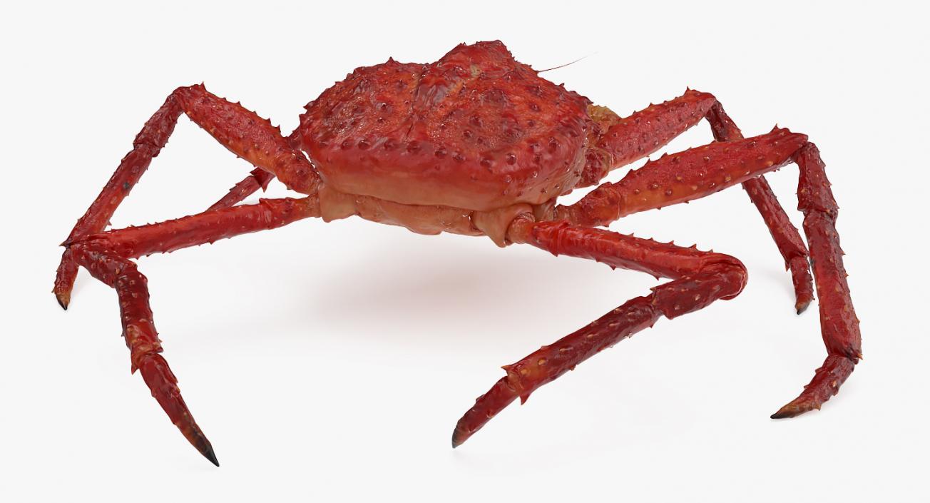 3D model Red King Crab Rigged