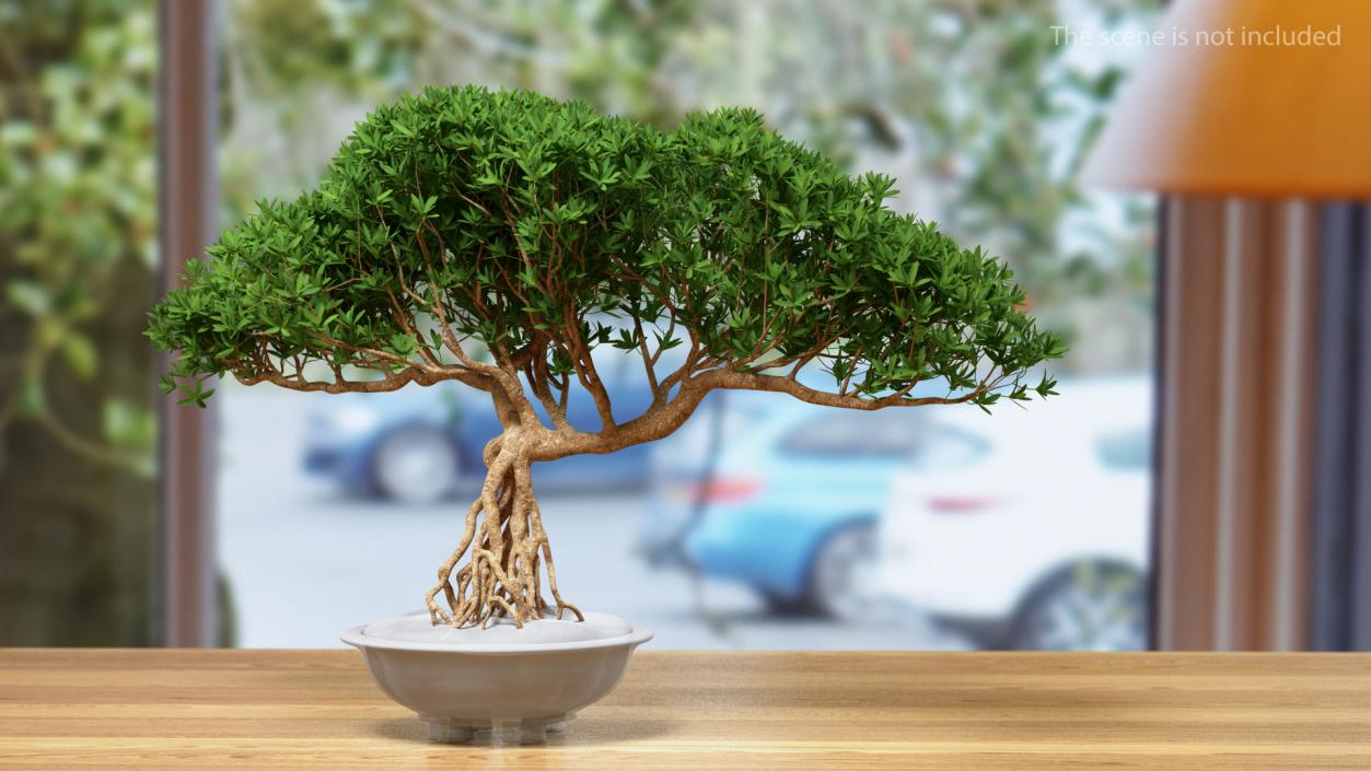 3D Miniature Bonsai Tree