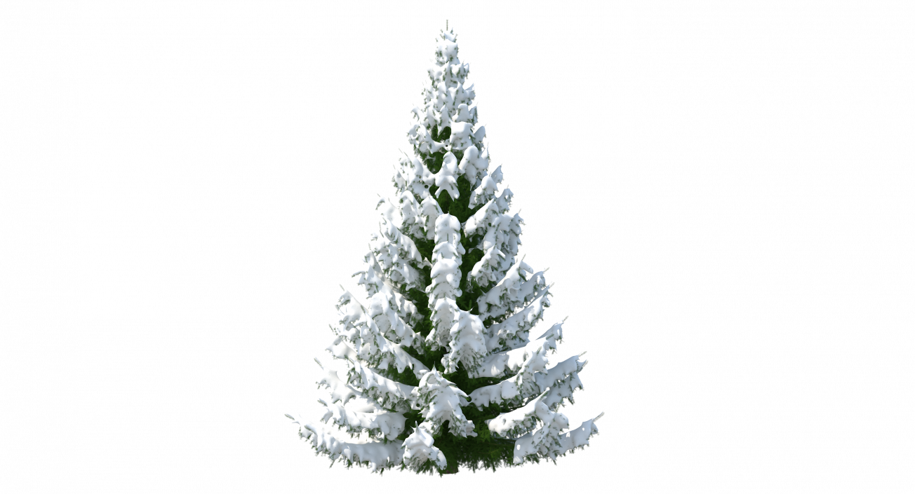 3D Winter Snow Spruce Tree model