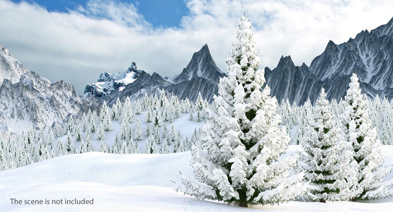 3D Winter Snow Spruce Tree model