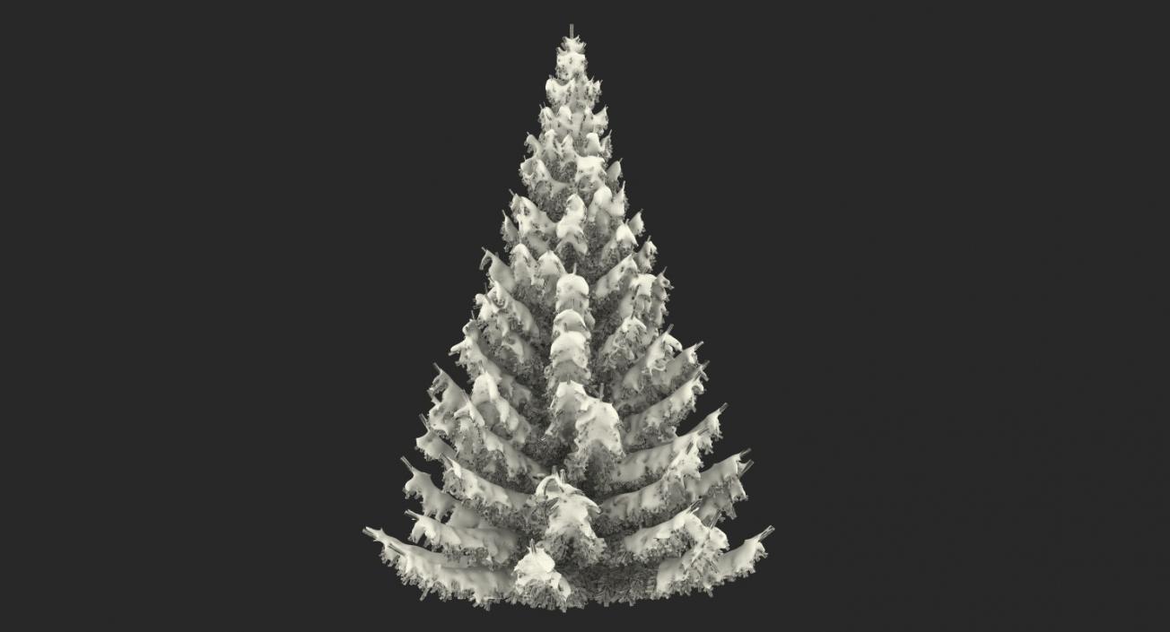 3D Winter Snow Spruce Tree model