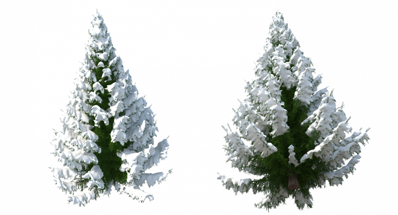 3D Winter Snow Spruce Tree model