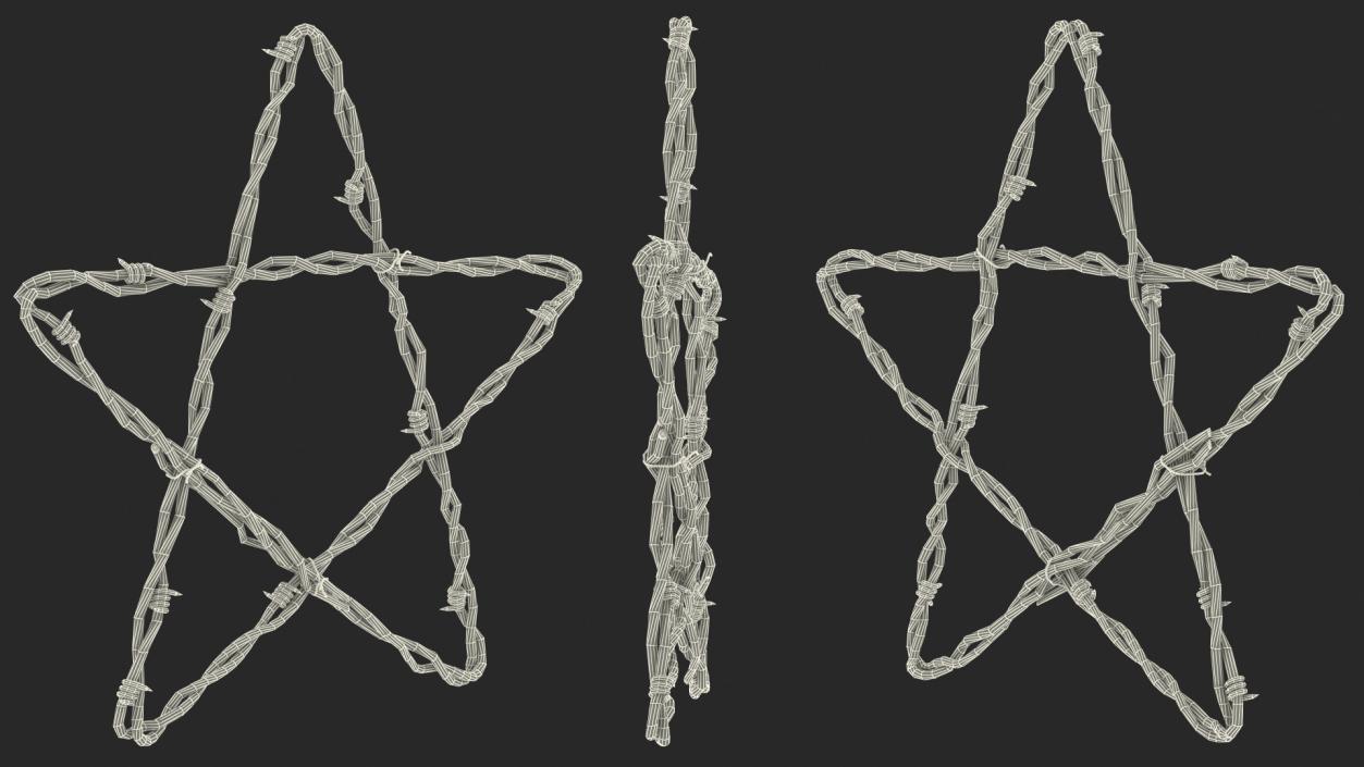 3D Barbed Wire Star