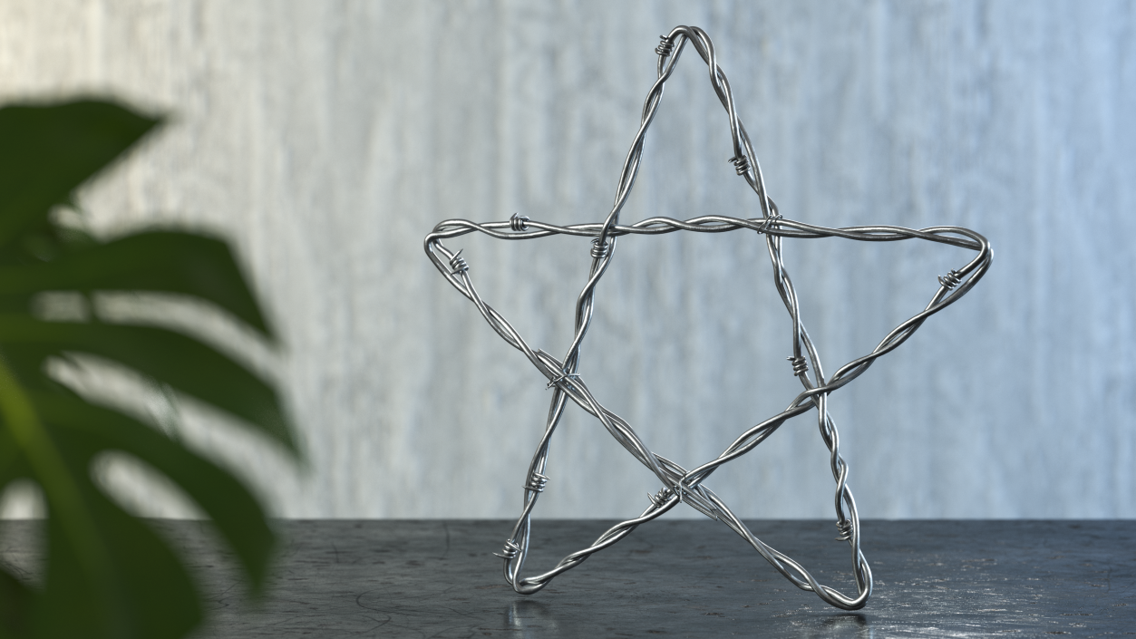 3D Barbed Wire Star