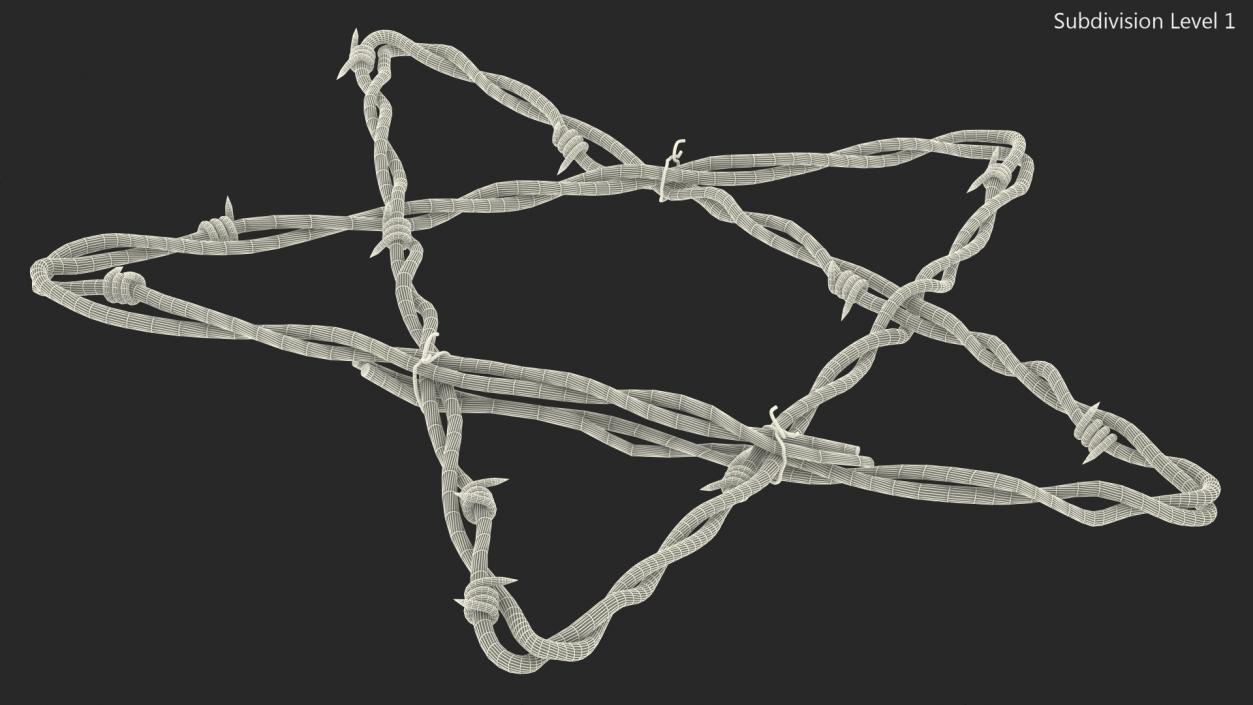 3D Barbed Wire Star