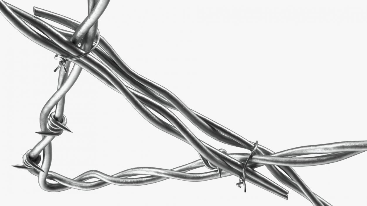 3D Barbed Wire Star