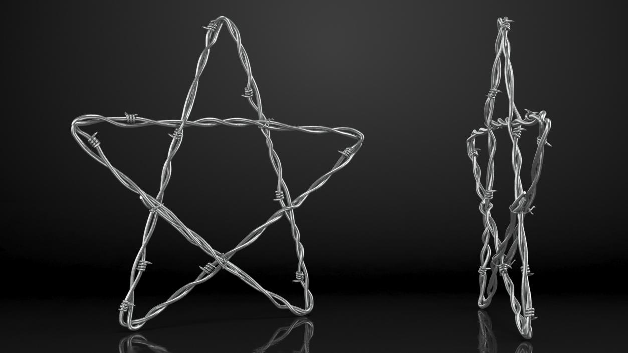 3D Barbed Wire Star