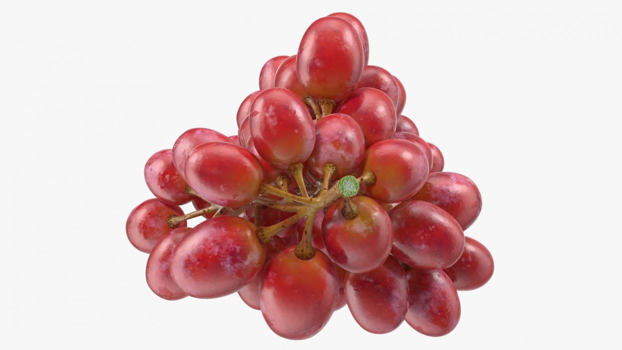 Cluster of Pink Grapes 3D