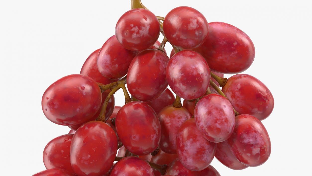 Cluster of Pink Grapes 3D