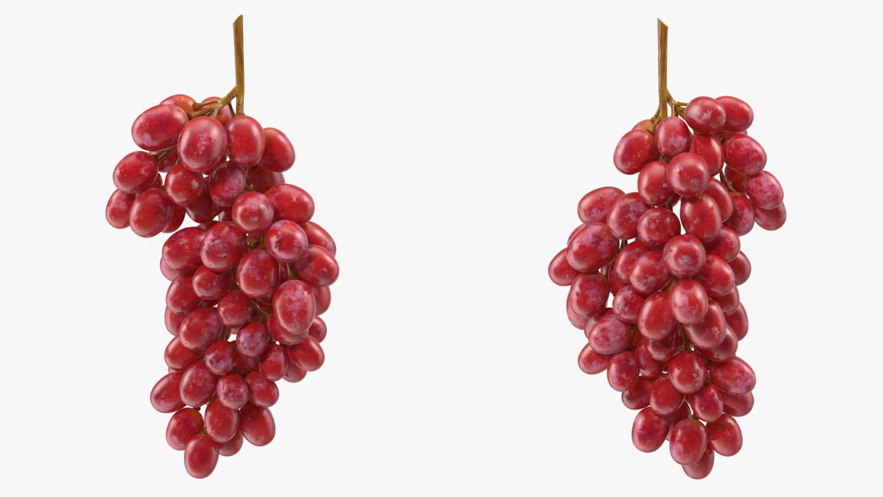 Cluster of Pink Grapes 3D