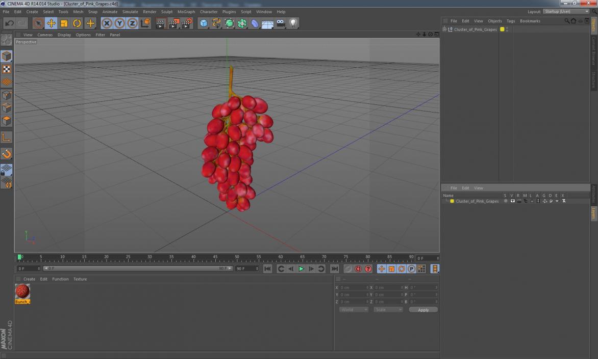 Cluster of Pink Grapes 3D