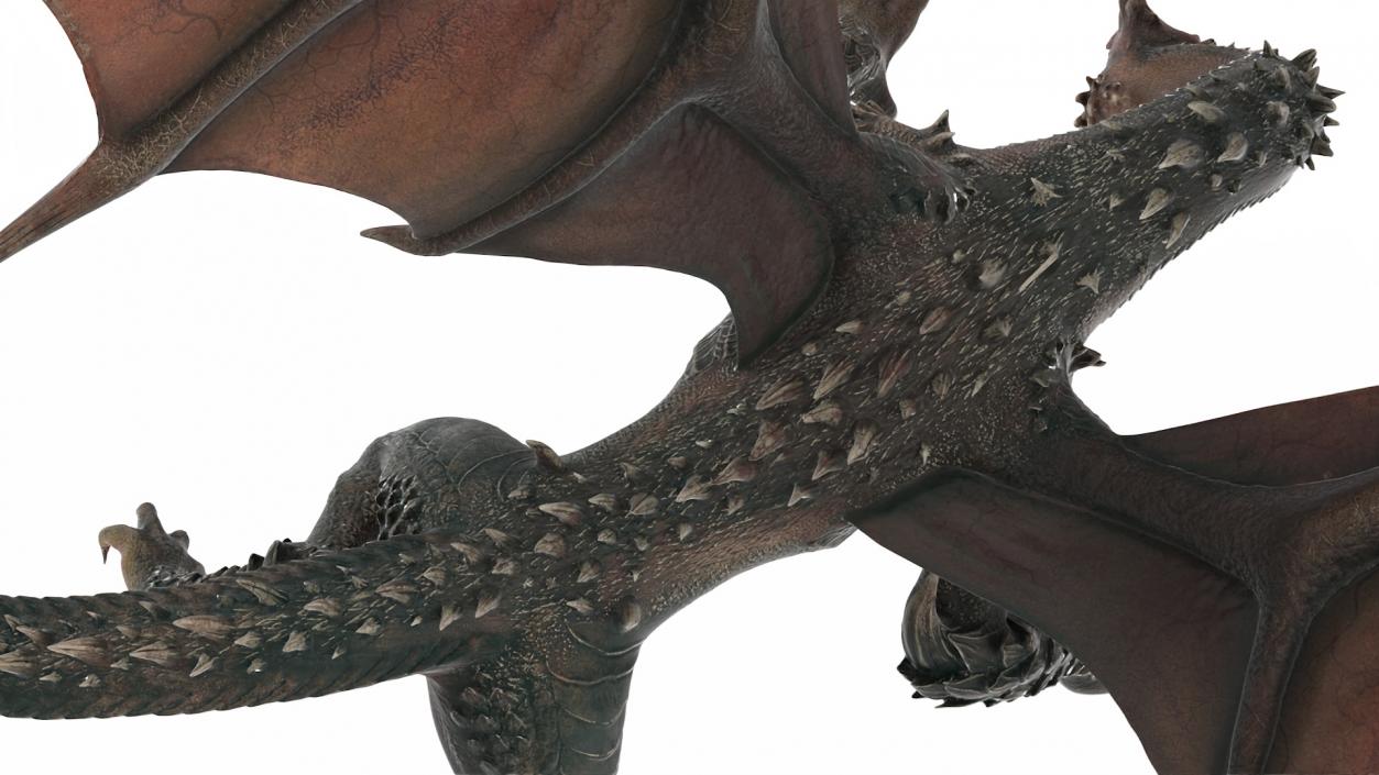 Fantasy Dragon Creature Rigged for Cinema 4D 3D model