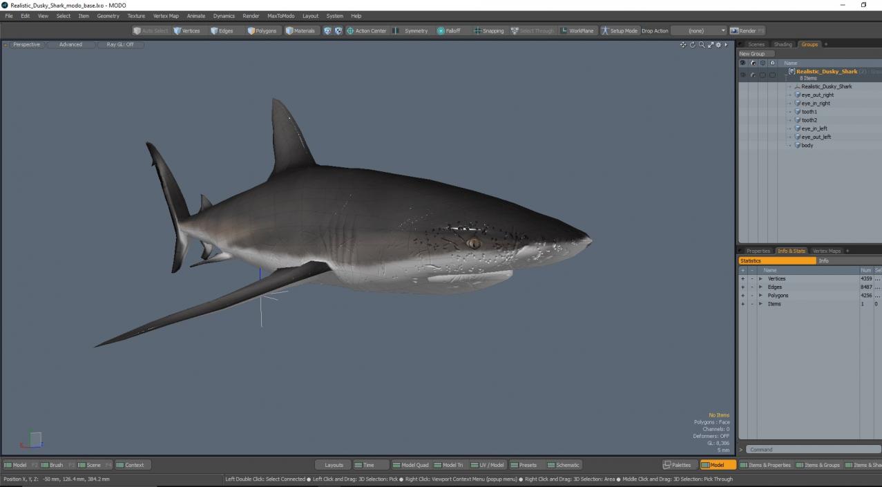 3D Realistic Dusky Shark