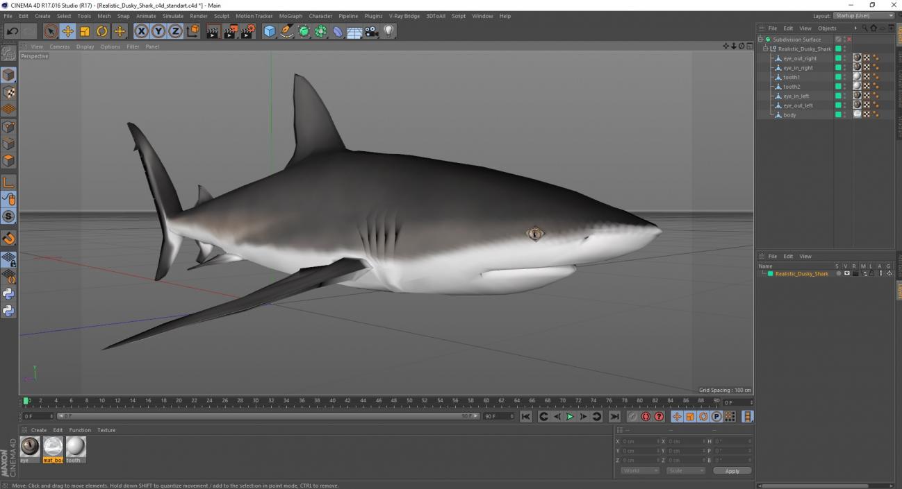 3D Realistic Dusky Shark