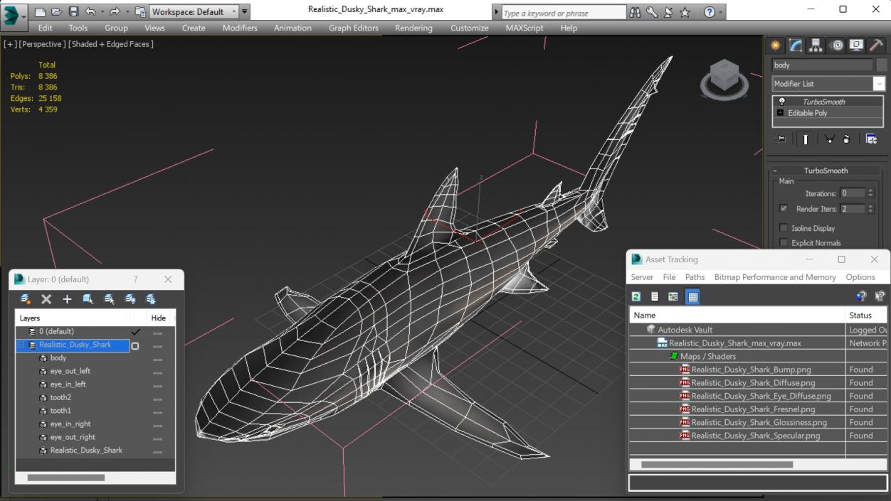 3D Realistic Dusky Shark