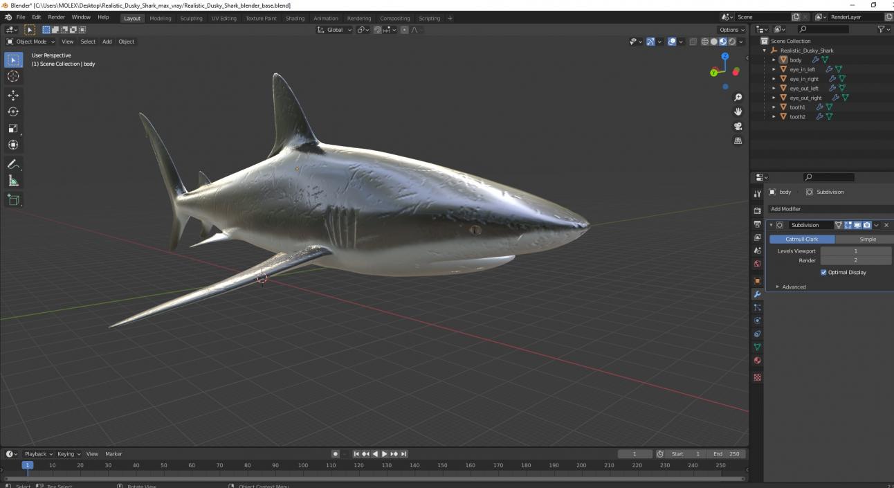 3D Realistic Dusky Shark