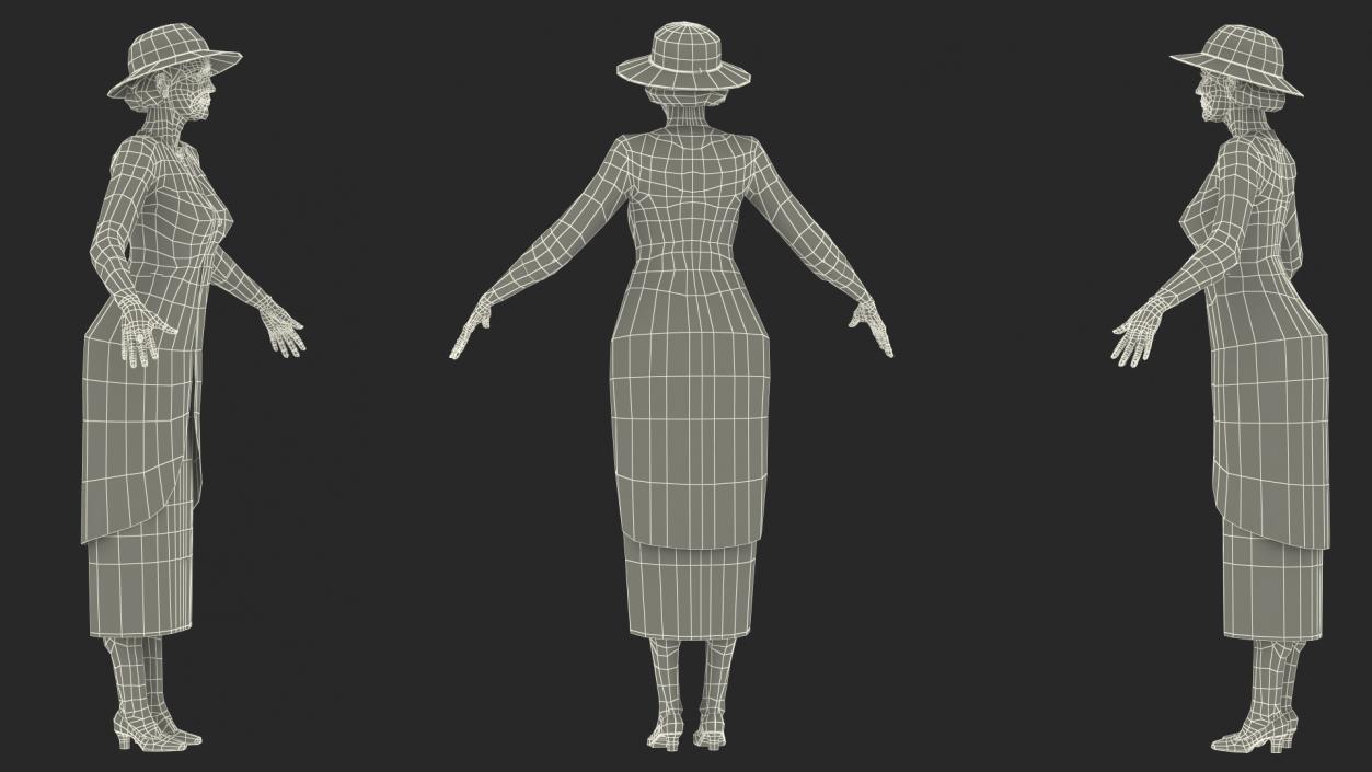 Old Lady wearing Casual Party Dress Rigged 3D