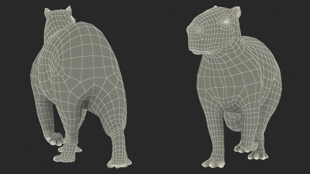 3D Capybara Walking Pose