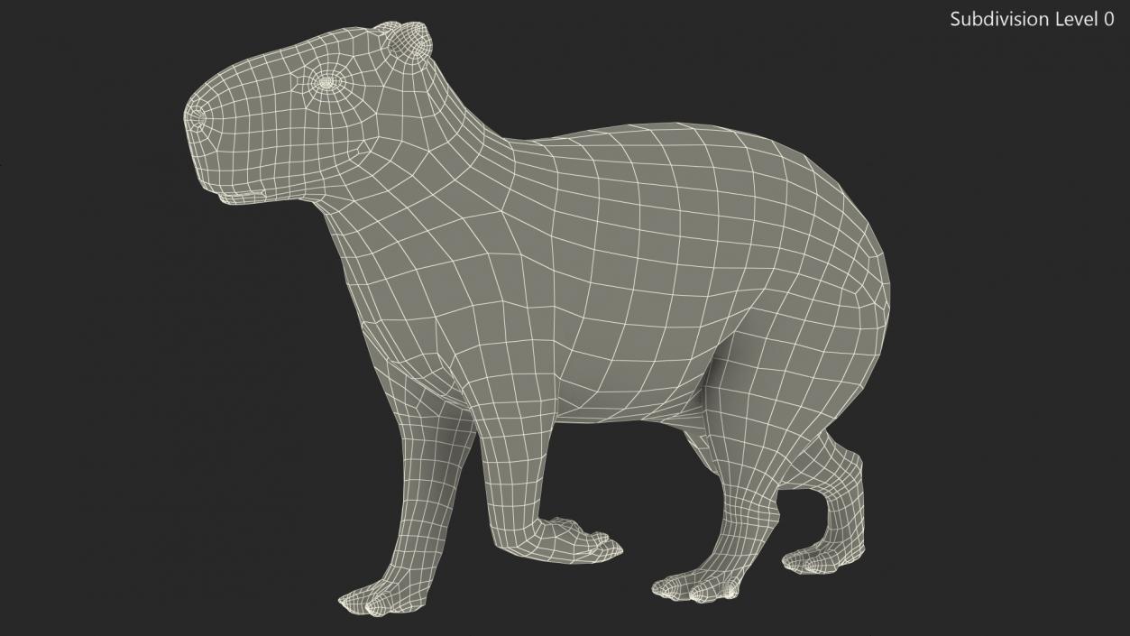 3D Capybara Walking Pose