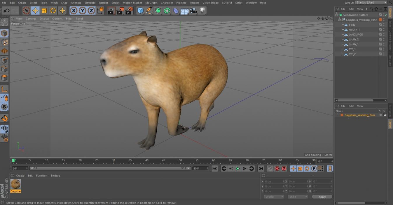 3D Capybara Walking Pose