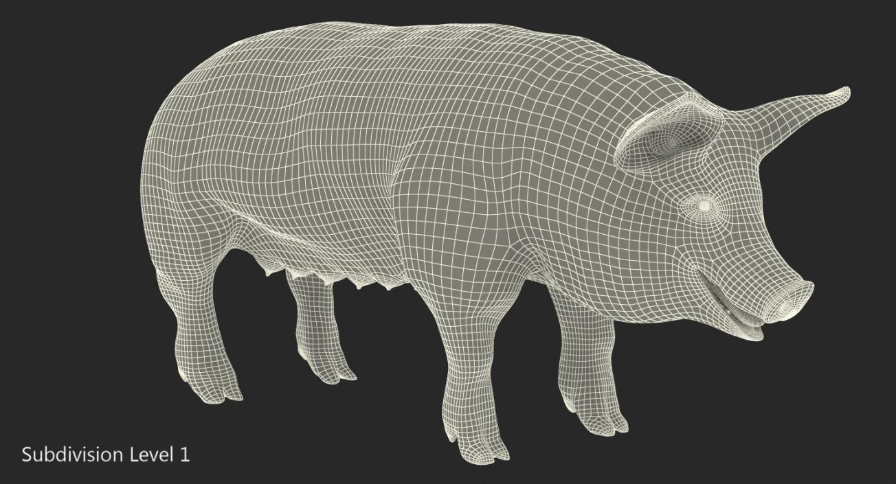 3D Pig Sow Peitrain Rigged model