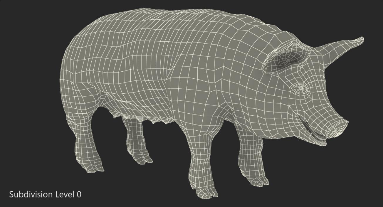 3D Pig Sow Peitrain Rigged model