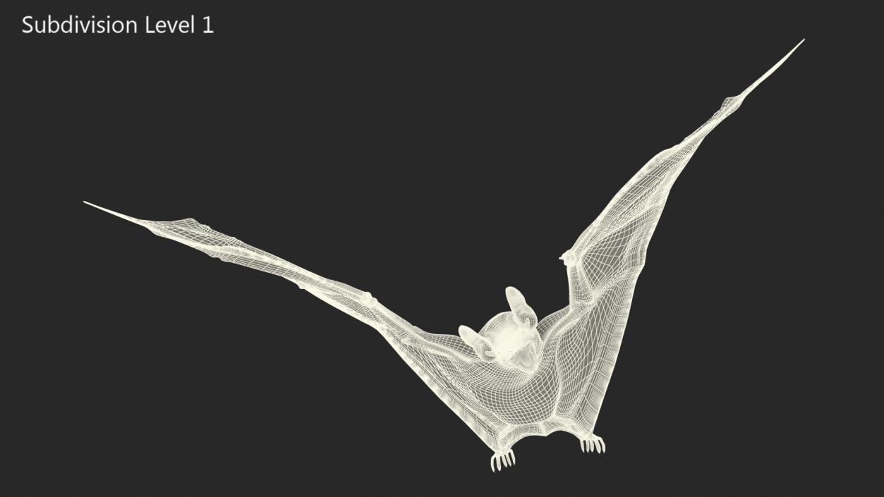 3D model Black Bat Fur Rigged