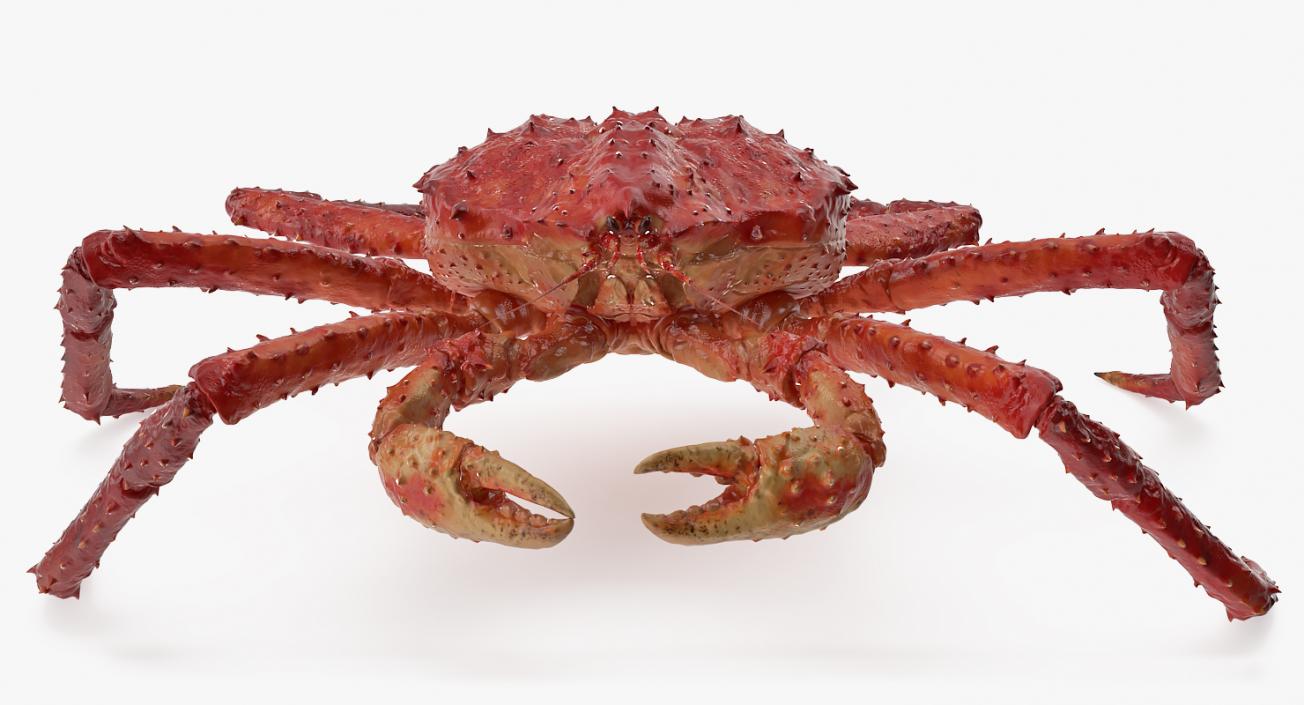 3D model Rigged Crabs Collection 3