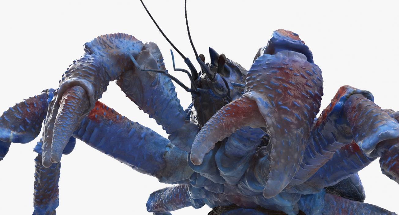 3D model Rigged Crabs Collection 3