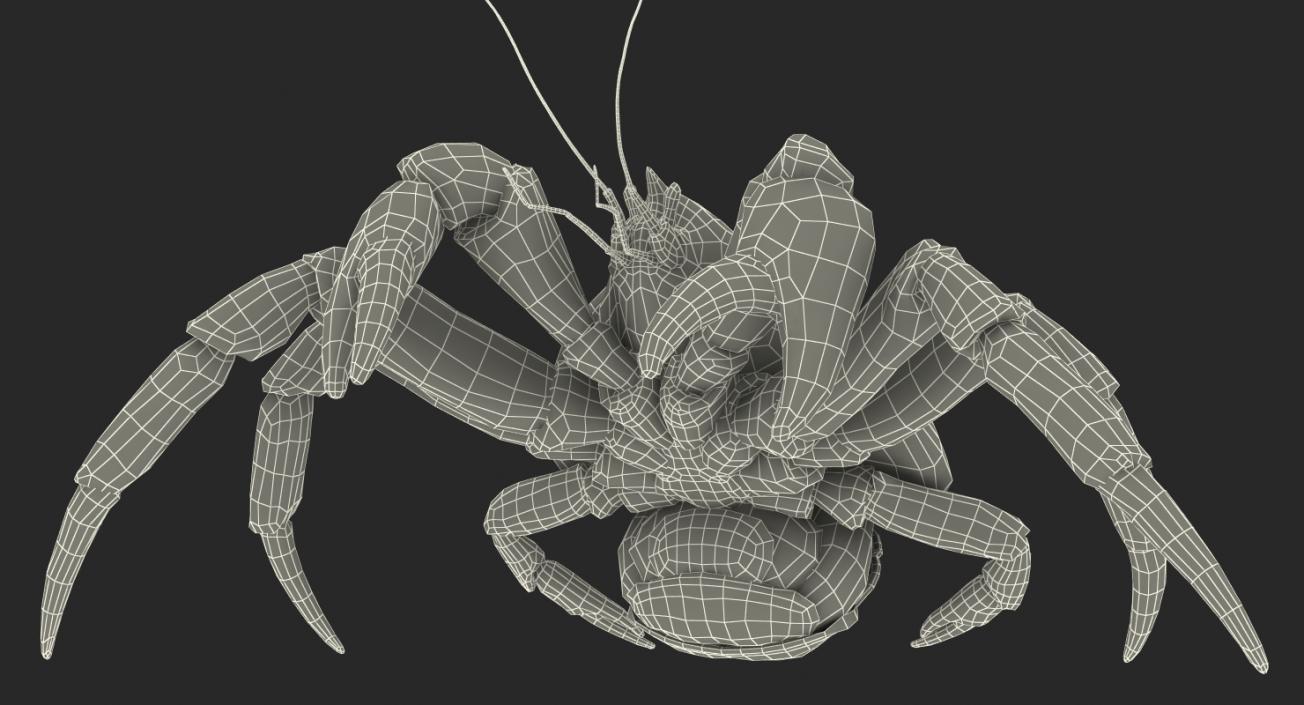 3D model Rigged Crabs Collection 3