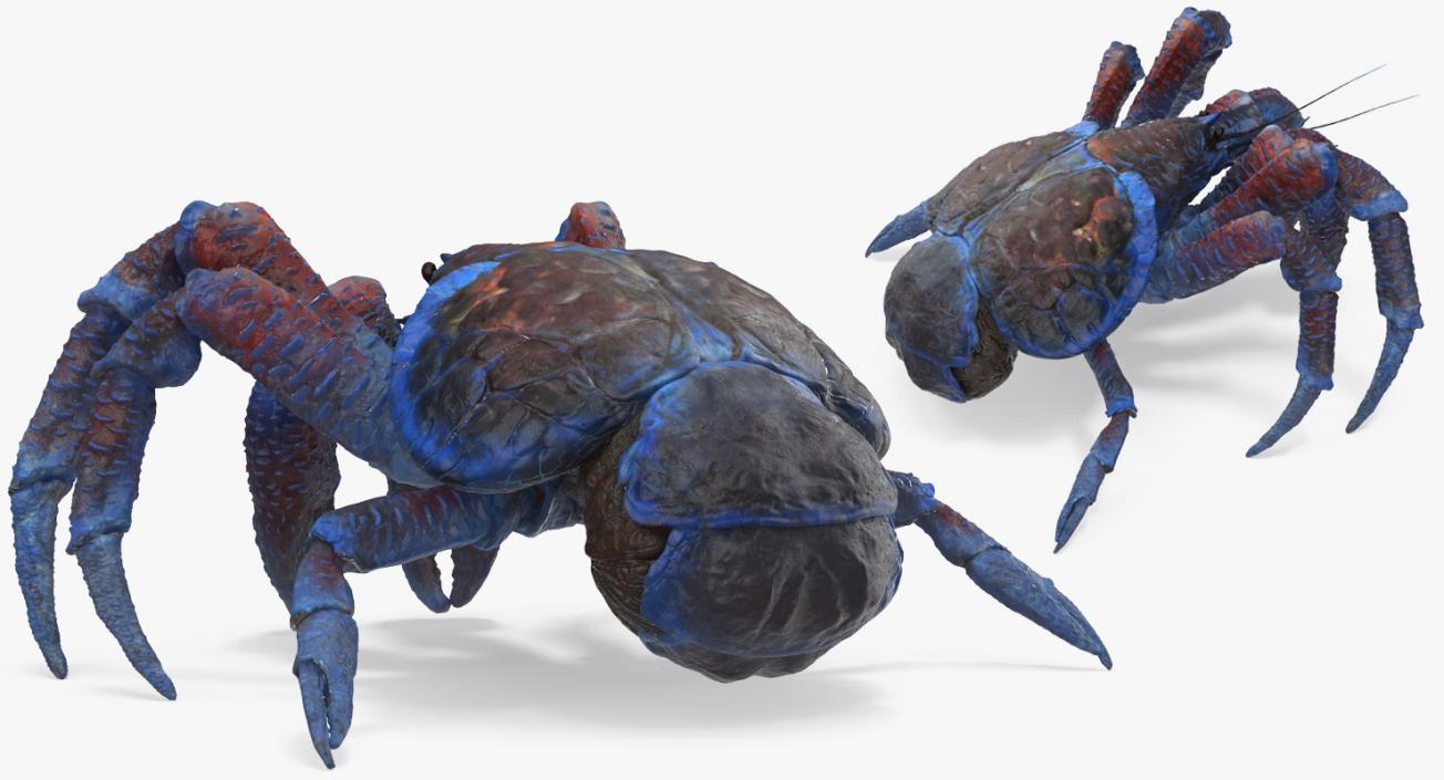 3D model Rigged Crabs Collection 3