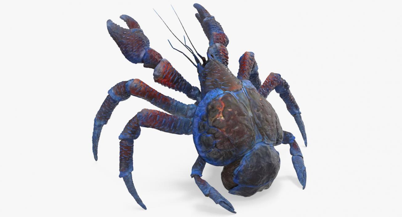 3D model Rigged Crabs Collection 3