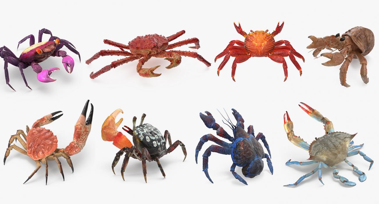 3D model Rigged Crabs Collection 3