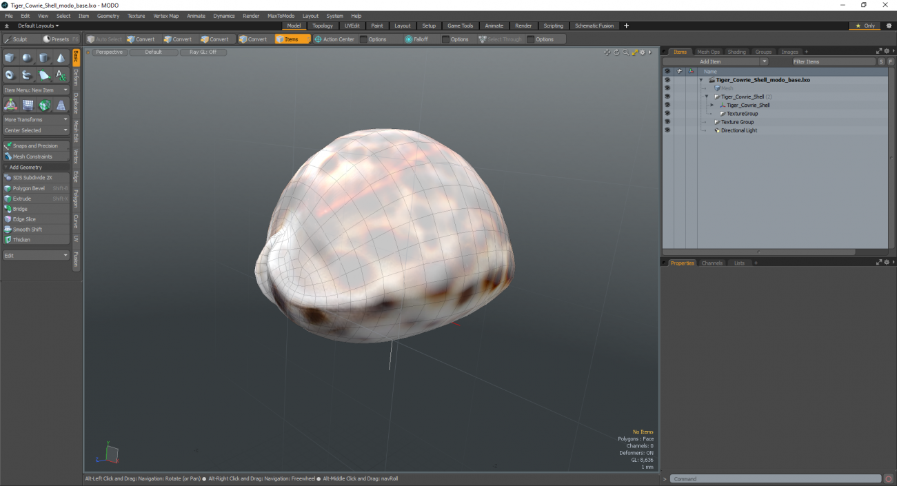 3D Tiger Cowrie Shell model