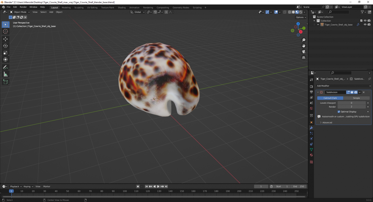 3D Tiger Cowrie Shell model