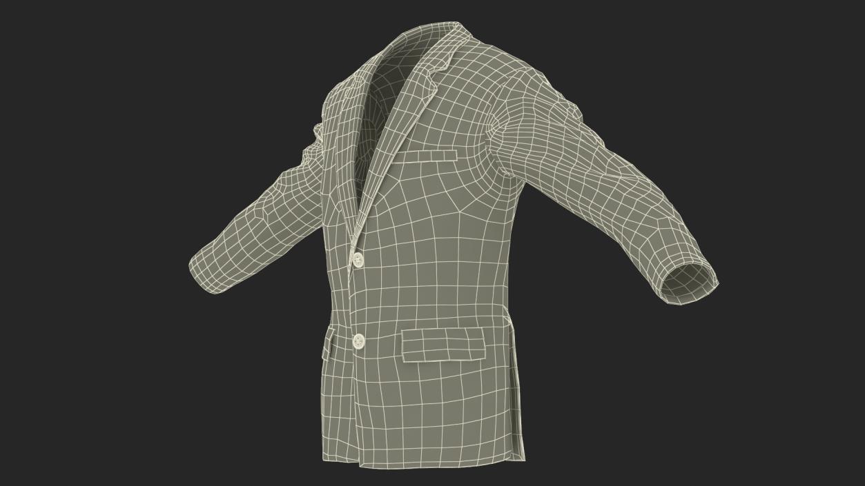 3D model Men Suit Jacket Casual for Business