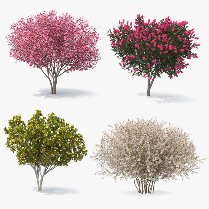 Flowering Bushes and Trees Collection 2 3D model