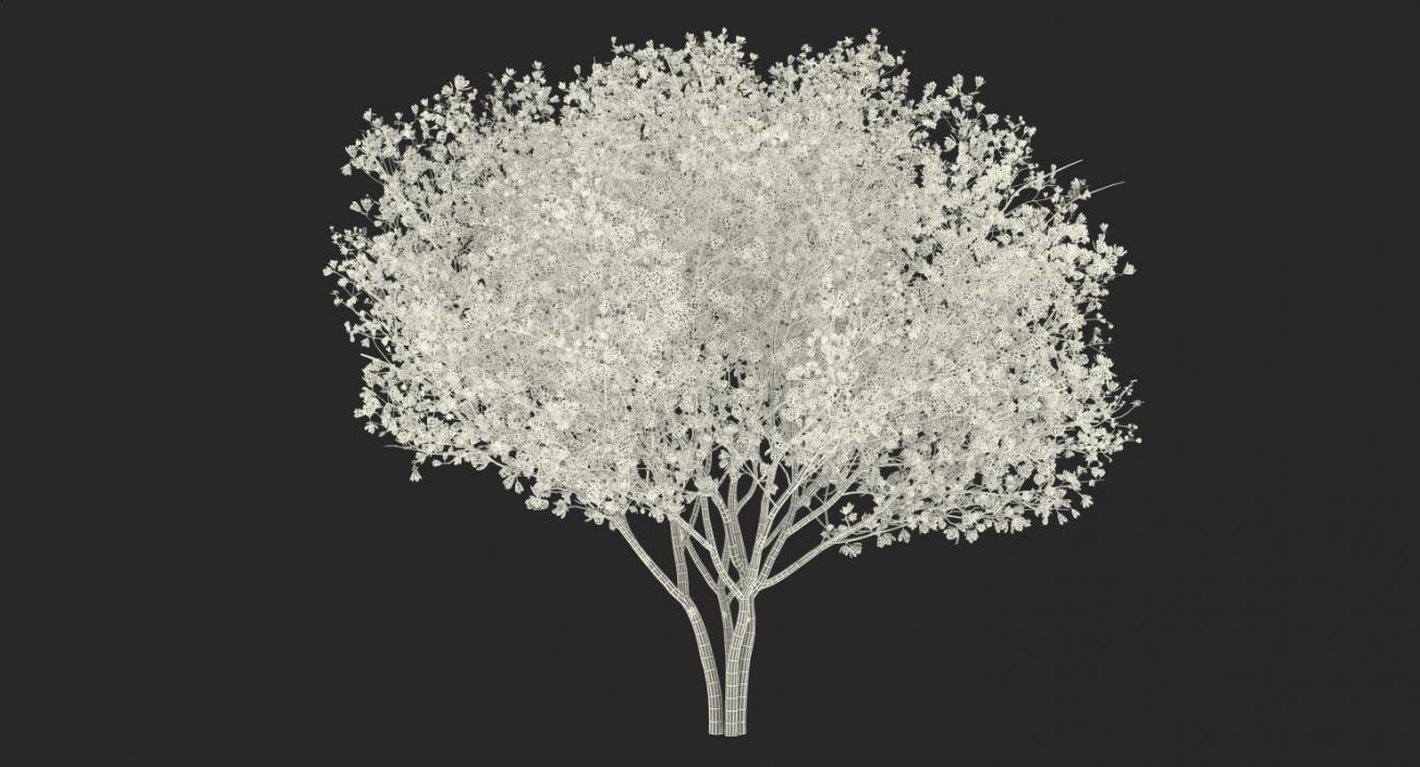 Flowering Bushes and Trees Collection 2 3D model