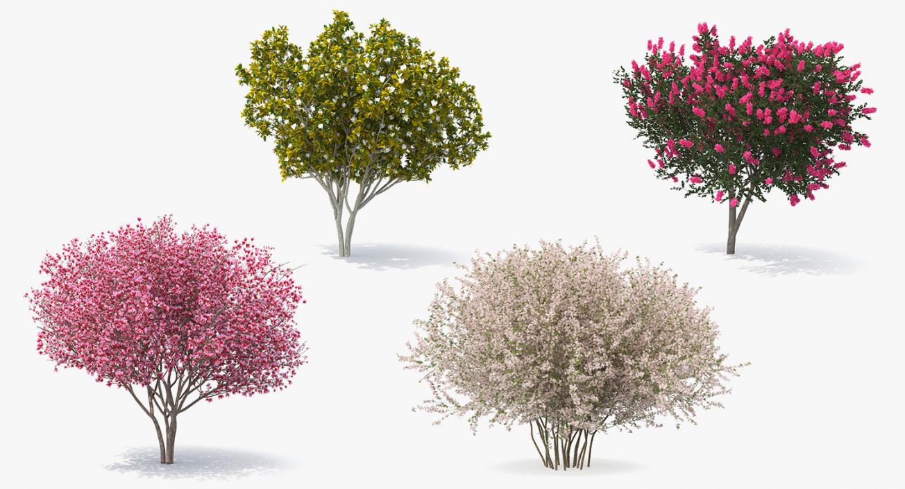 Flowering Bushes and Trees Collection 2 3D model