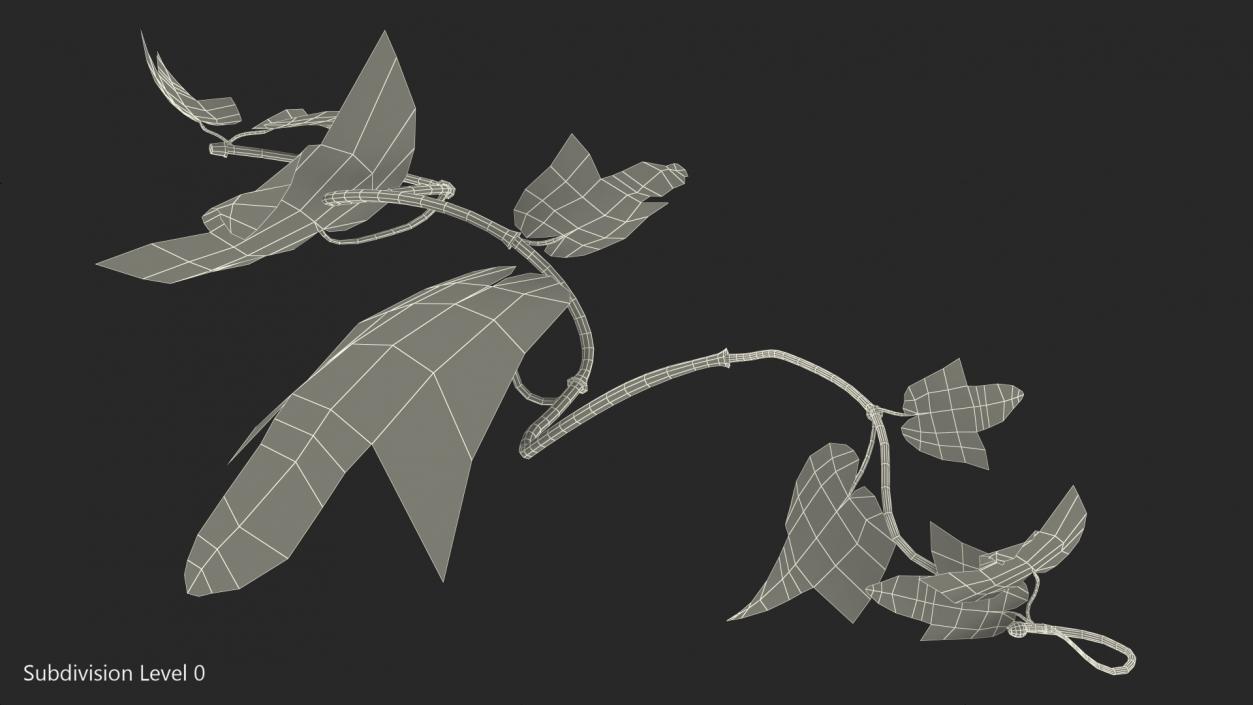 Grape Branch 3D