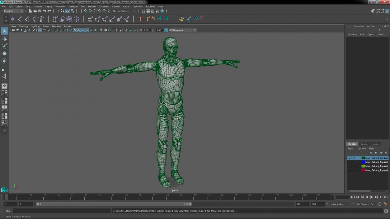 Male Cyborg Rigged for Maya 3D