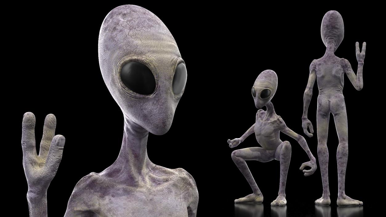 3D Humanoid Alien Rigged