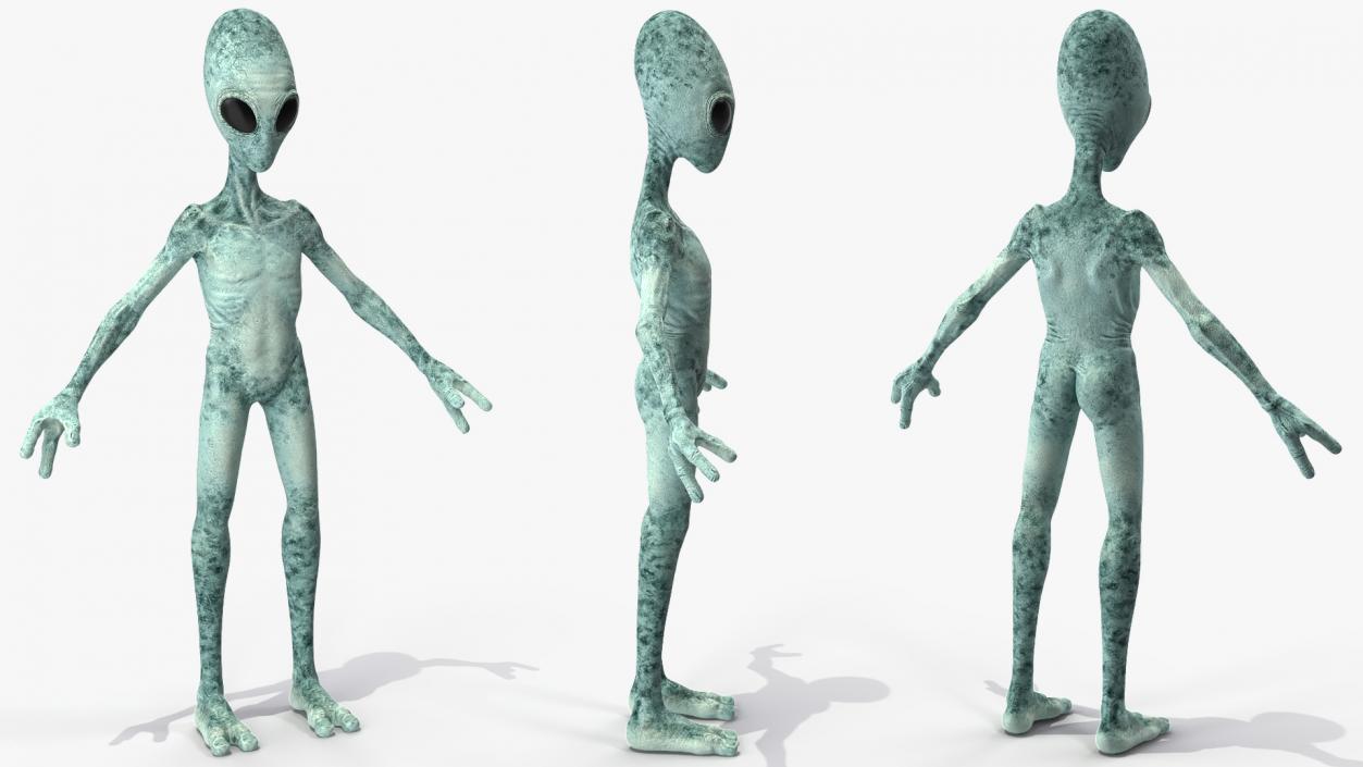 3D Humanoid Alien Rigged