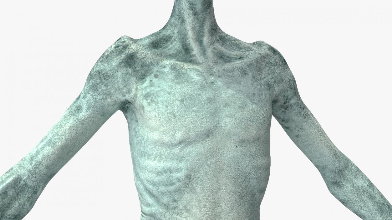 3D Humanoid Alien Rigged